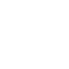 earbuds 1